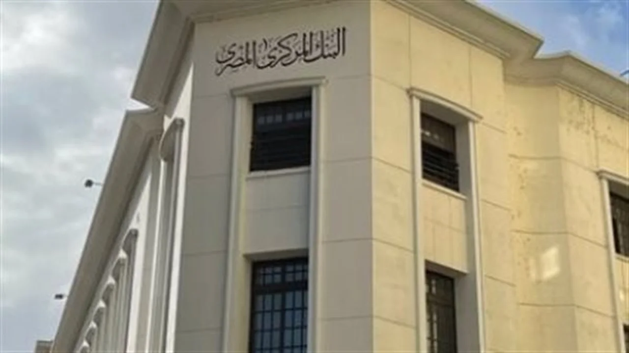 سياسة نقدية جديدة.. البنك المركزي المصري يوازن بين التحول الرقمي والسيولة مطلع 2026